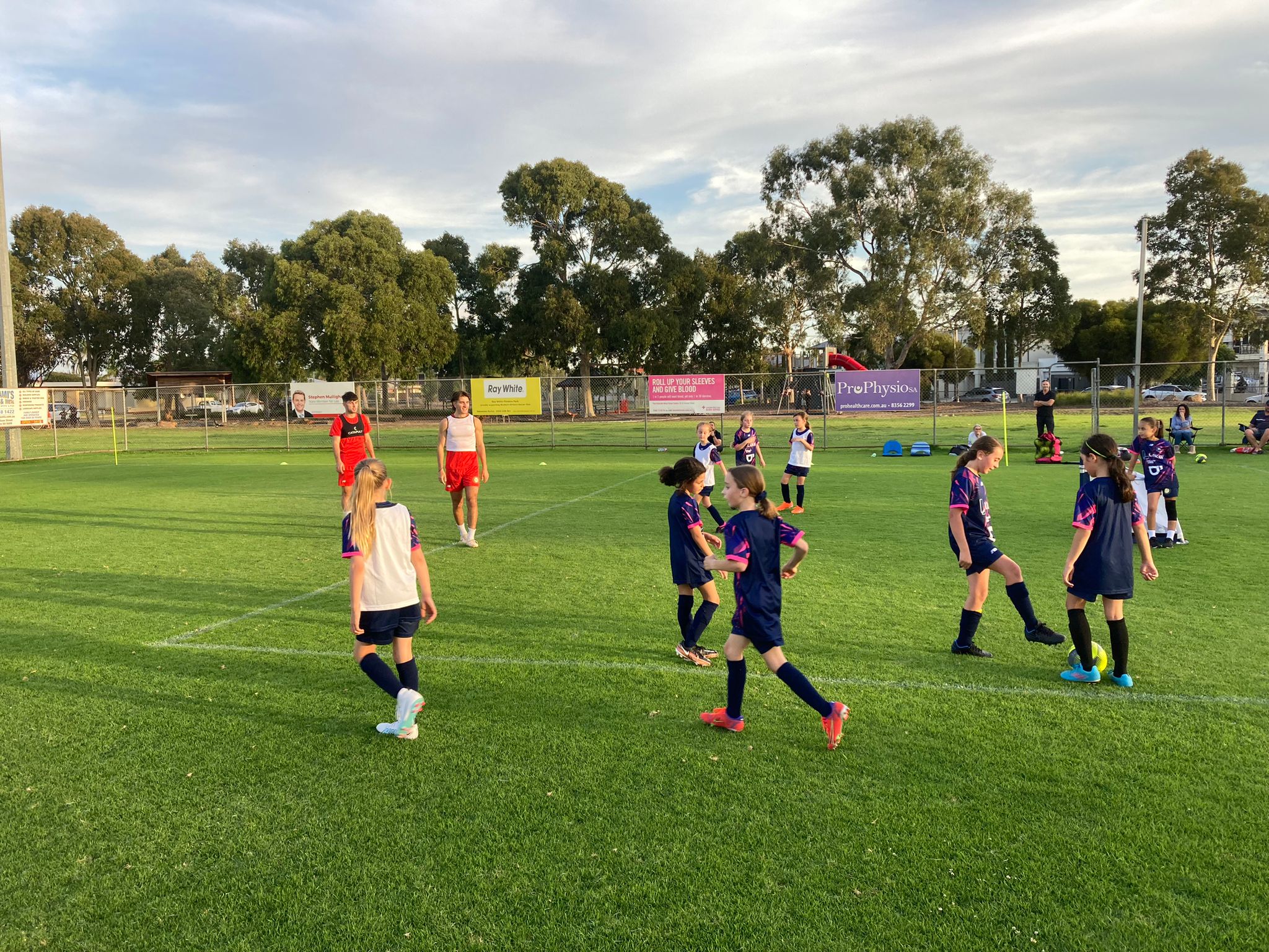 Juniors Western Strikers Soccer Club Adelaide SA